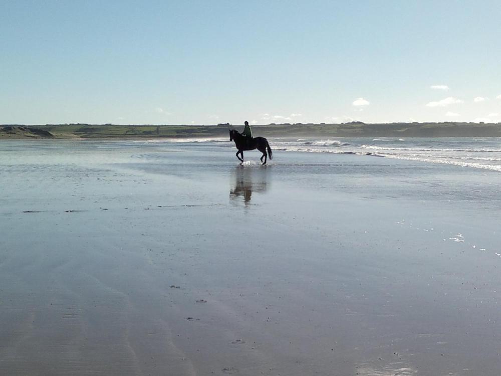 Bed and Breakfast Glenart House Tramore Esterno foto